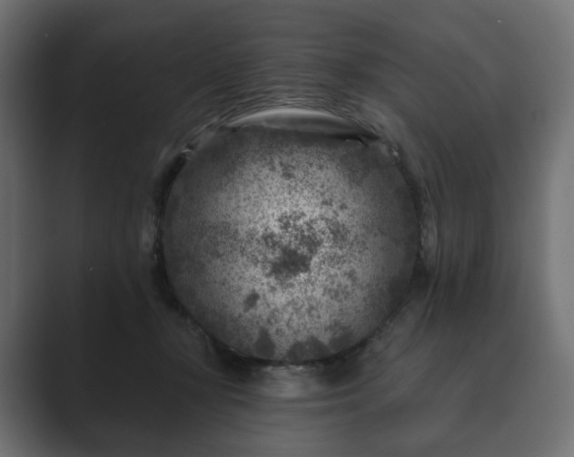 X0000089700367200706281459