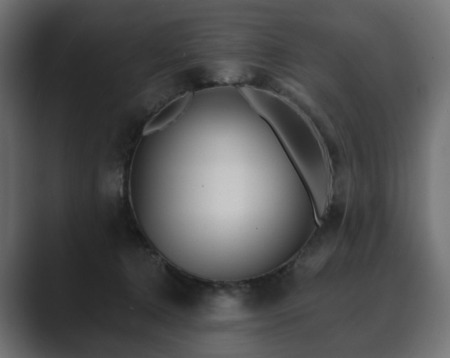 X0000089700368200706281459