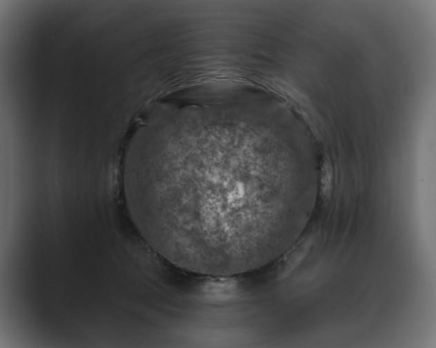 X0000089700369200706281459