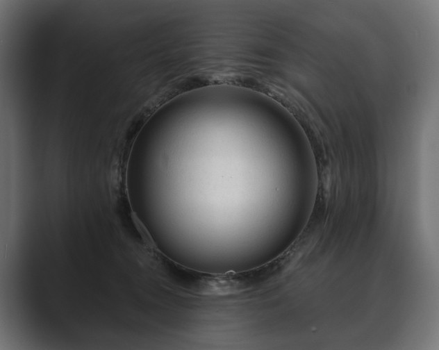 X0000089700372200706281459