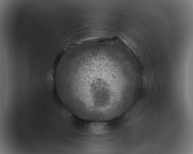 X0000089700373200706281459