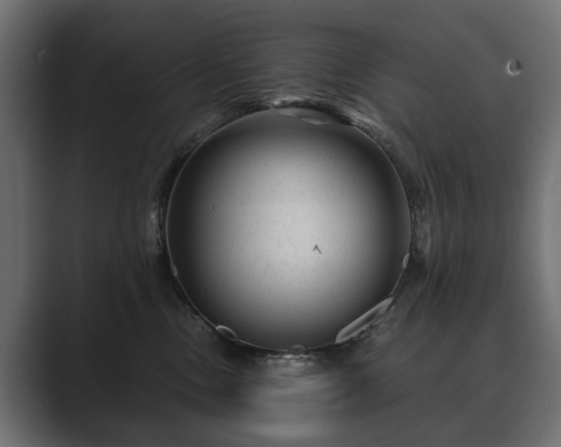 X0000089700378200706281459