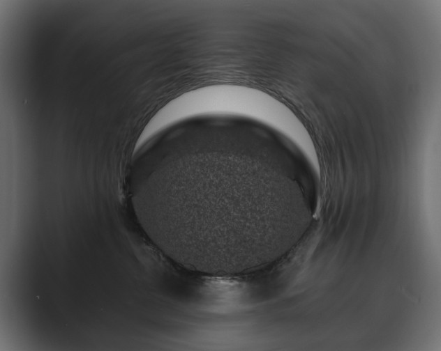 X0000089700380200706281459