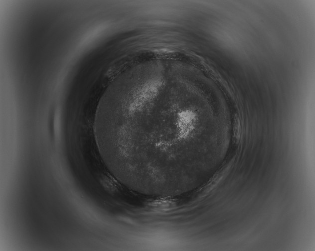 X0000089700383200706281459