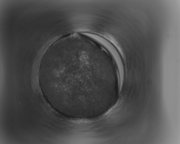 X0000089700385200706281458