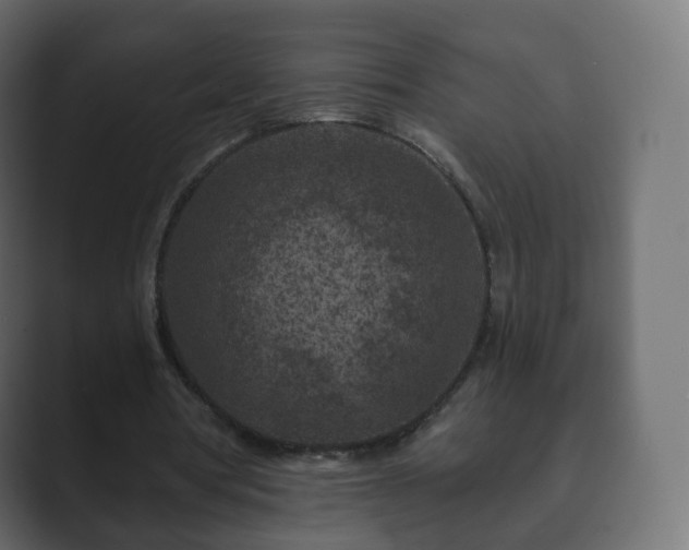 X0000089700386200706281458