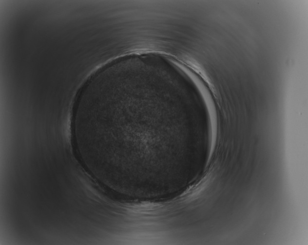 X0000089700387200706281458