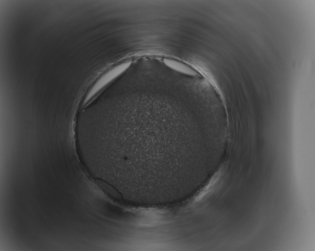 X0000089700389200706281458