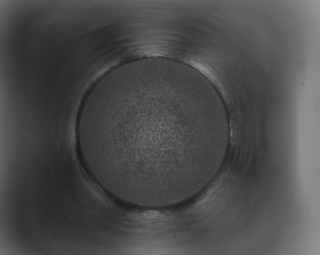 X0000089700390200706281458