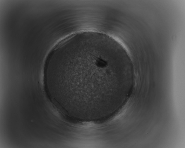 X0000089700391200706281458