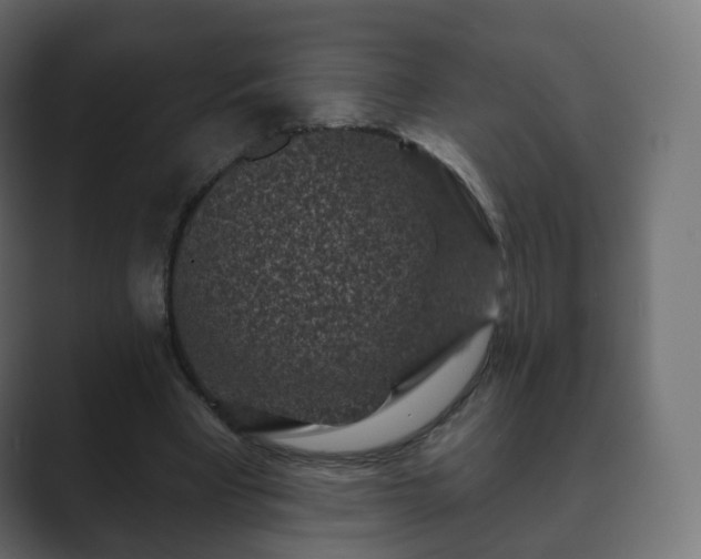 X0000089700393200706281458