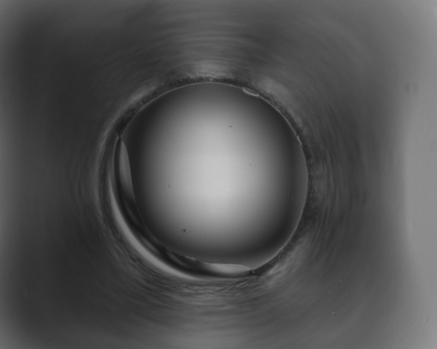 X0000089700395200706281458