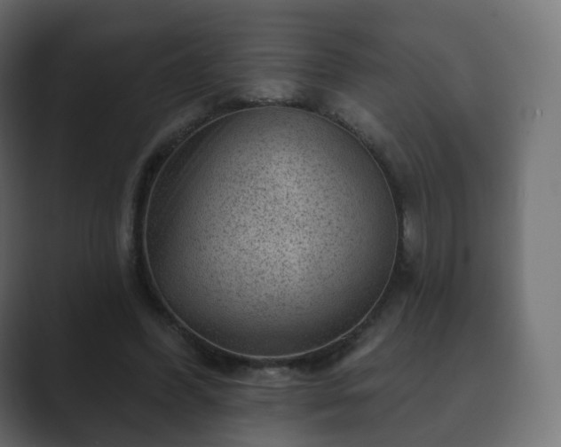 X0000089700396200706281458