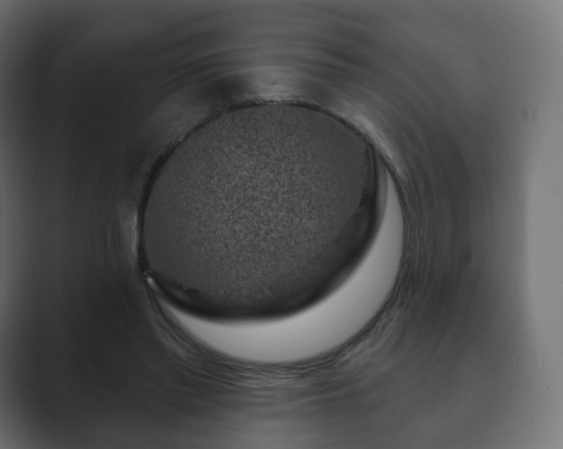 X0000089700397200706281458