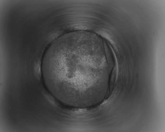 X0000089700398200706281458