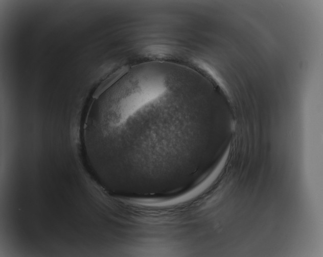 X0000089700399200706281458