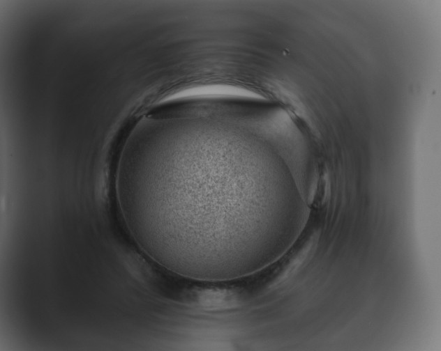 X0000089700400200706281458