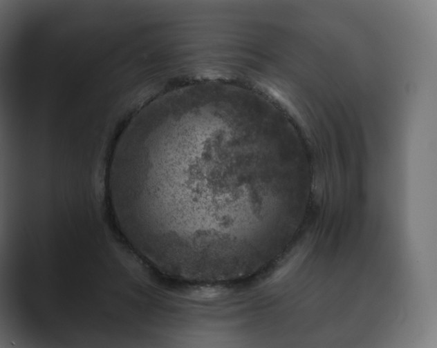 X0000089700402200706281458