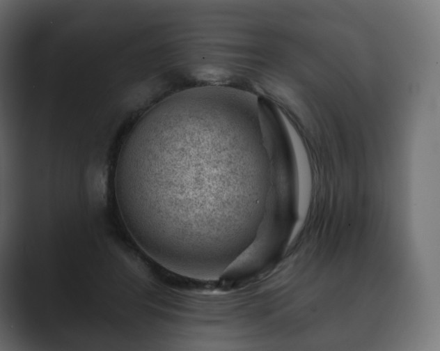 X0000089700404200706281458