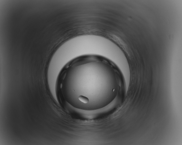 X0000089700405200706281458