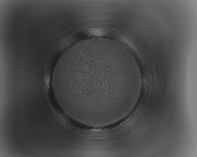 X0000089700406200706281458