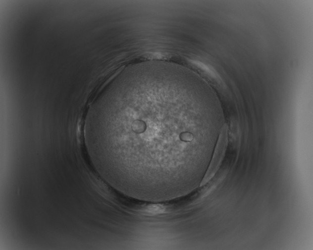 X0000089700409200706281458