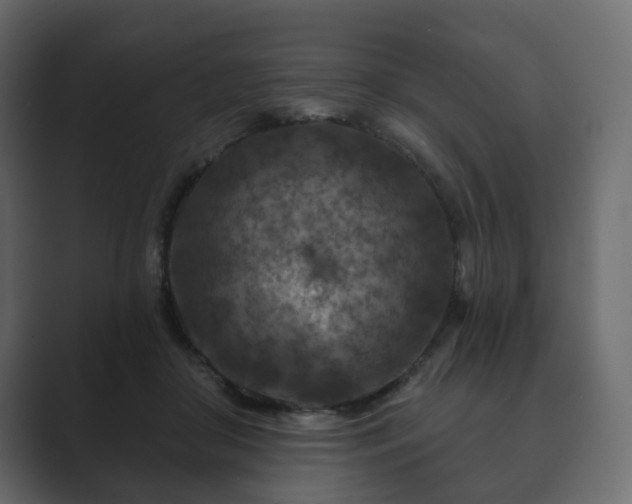 X0000089700410200706281458