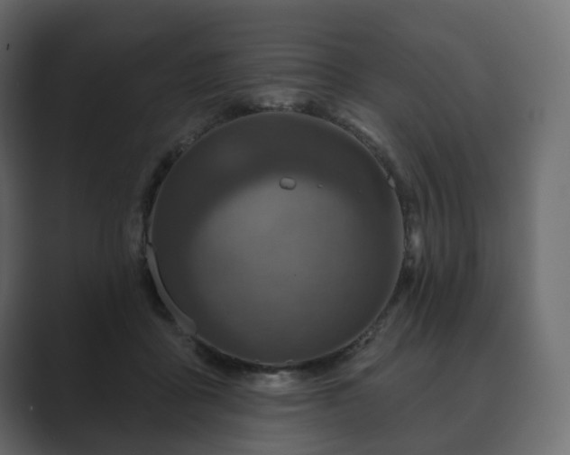 X0000089700411200706281458