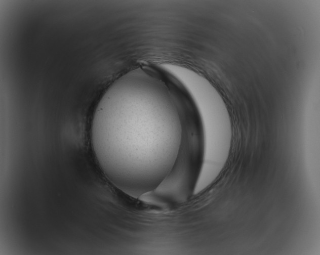 X0000089700416200706281458