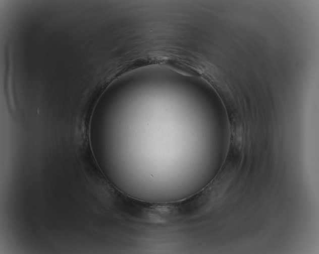 X0000089700418200706281458