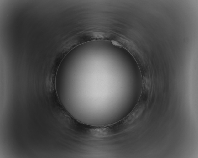 X0000089700422200706281458