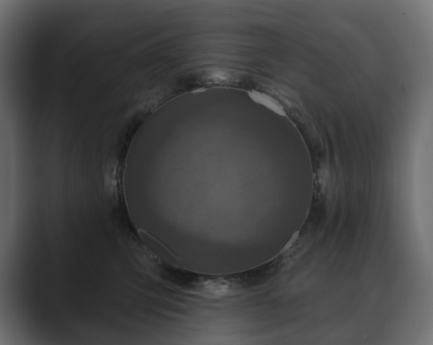 X0000089700423200706281458