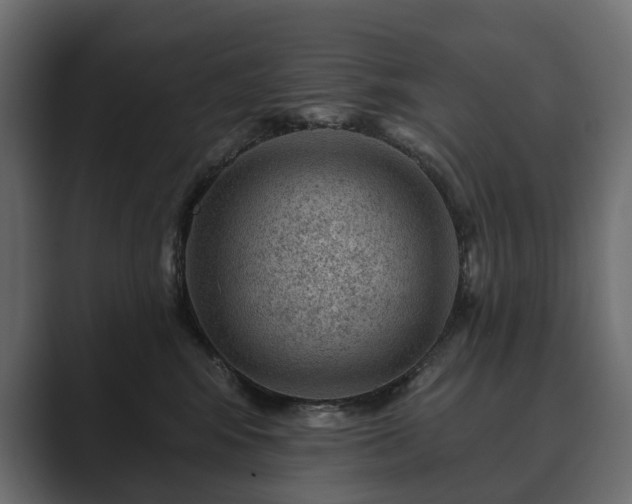 X0000089700424200706281458