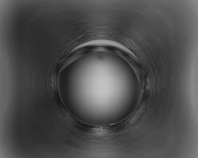 X0000089700425200706281458