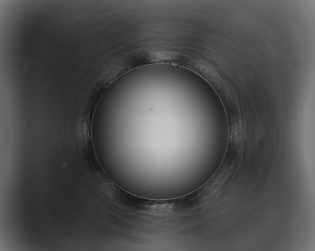 X0000089700426200706281458