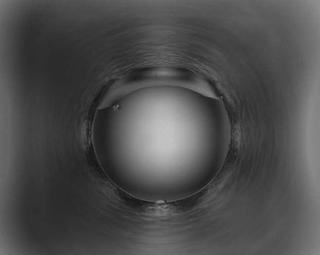 X0000089700428200706281458