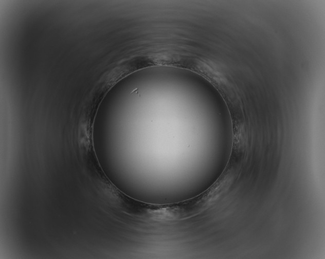 X0000089700430200706281458