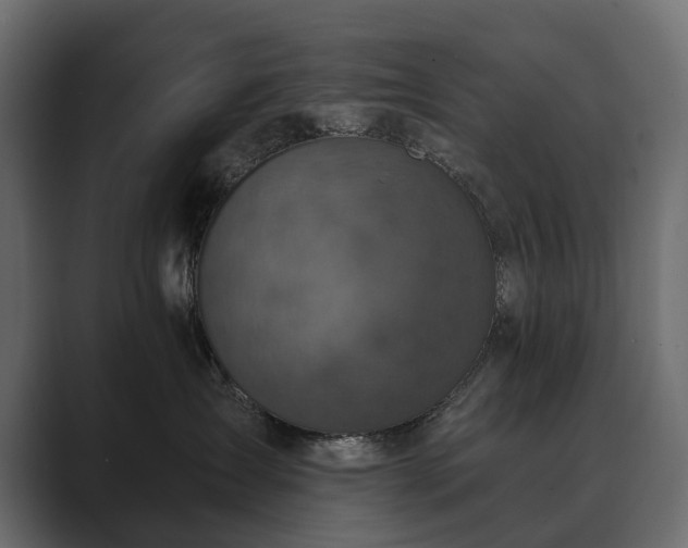 X0000089700431200706281458