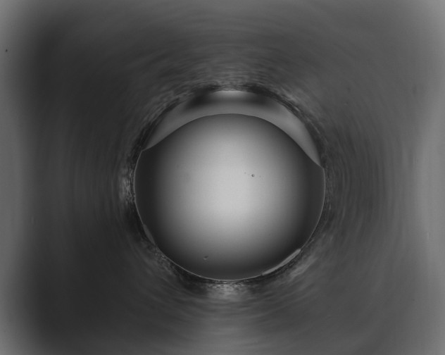 X0000089700432200706281458