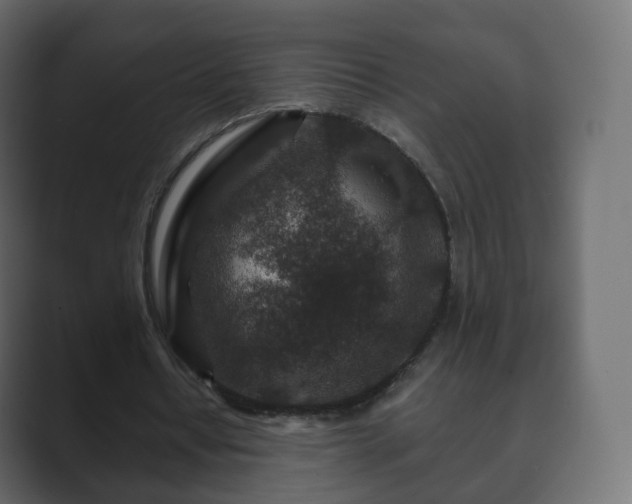 X0000089700434200706281457