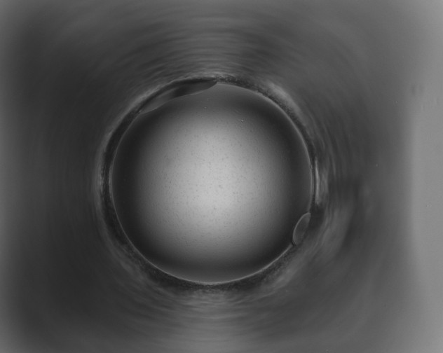 X0000089700435200706281457