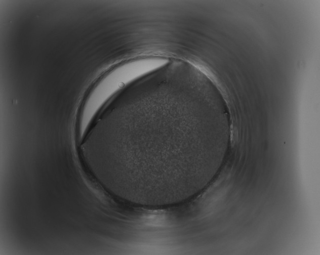 X0000089700438200706281457