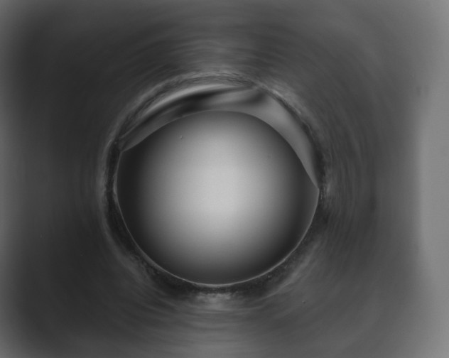 X0000089700440200706281457