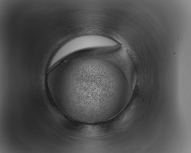 X0000089700442200706281457