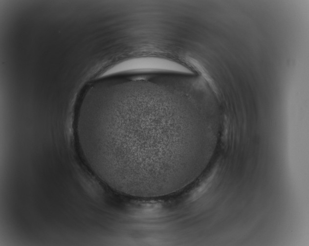 X0000089700443200706281457