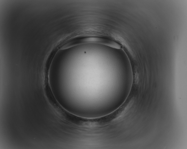 X0000089700444200706281457