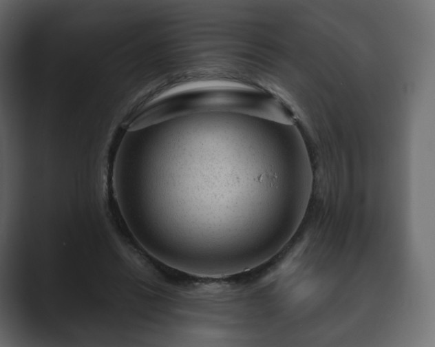 X0000089700446200706281457