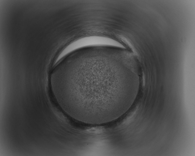 X0000089700447200706281457