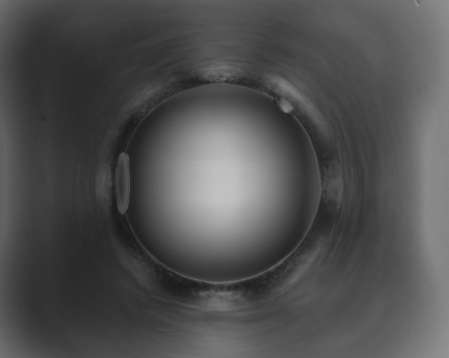 X0000089700448200706281457