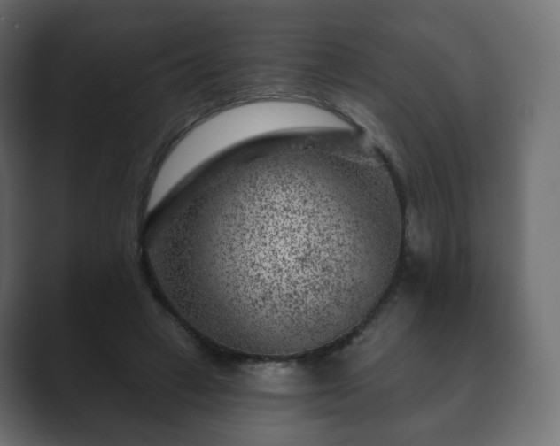 X0000089700449200706281457